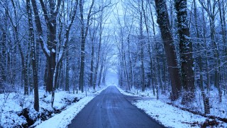 Schnee in Overijssel: Spaziergang durch die Landschaft von Enschede