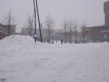 Schneesturm Darcy verwandelt Overijssel in ein Winterparadies